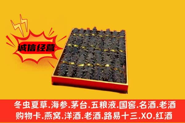 大兴安岭塔河回收海参